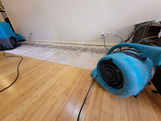 Professional Burst Pipe Water Damage technician working in Cherry Valley, CA